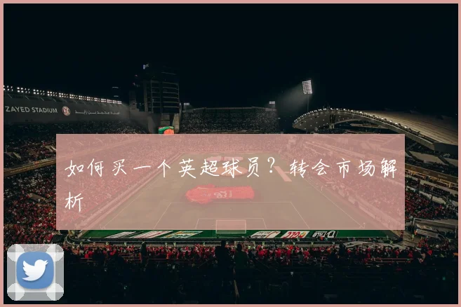 如何买一个英超球员？转会市场解析