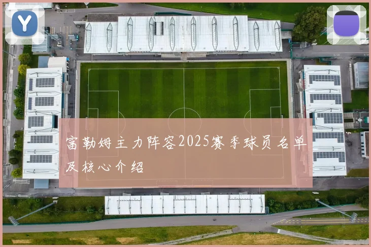 富勒姆主力阵容2025赛季球员名单及核心介绍