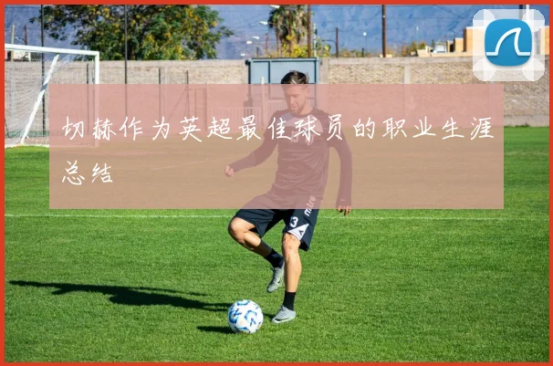 切赫作为英超最佳球员的职业生涯总结