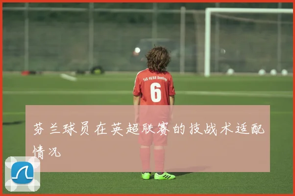 芬兰球员在英超联赛的技战术适配情况