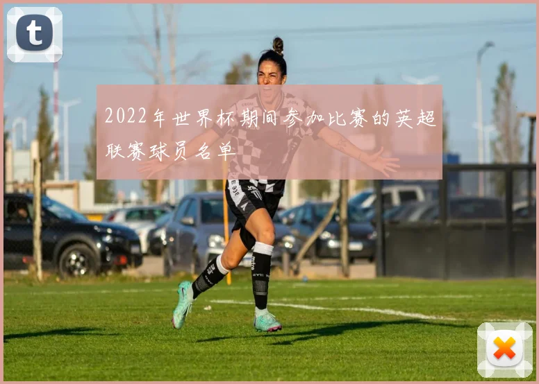 2022年世界杯期间参加比赛的英超联赛球员名单